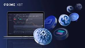 Mastering Crypto Trading PrimeXBT Your Ultimate Guide to Success