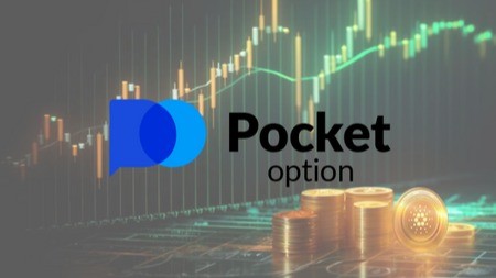 Pocket Option Reviews 2 Pocket Option Reviews 2